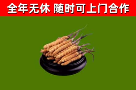 澧县烟酒回收冬虫夏草.jpg